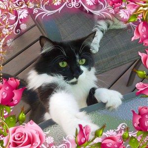 Meet your Posher, Edith